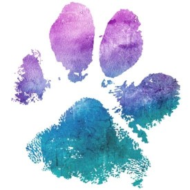 Image of Macatawa Dog Training service in Holland, Michigan, United States Image of Macatawa Dog Training service in Holland, Michigan, United States
