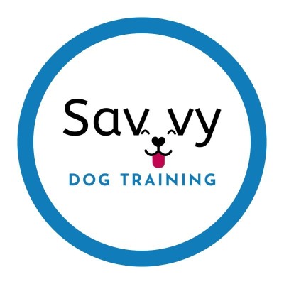 Image of Savvy Dog Training - St. Augustine service in St. Augustine, Florida, United States Image of Savvy Dog Training - St. Augustine service in St. Augustine, Florida, United States
