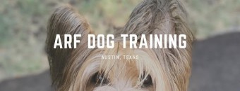 Image of ARF Inc Dog Training service in Austin, Minnesota, United States Image of ARF Inc Dog Training service in Austin, Minnesota, United States