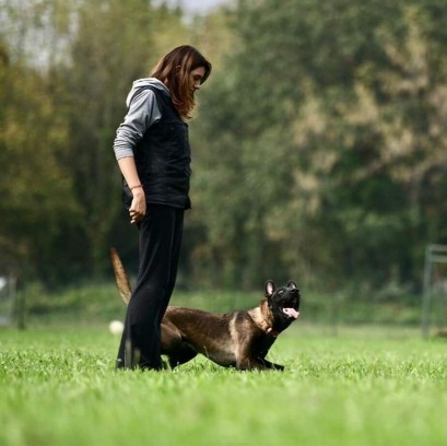 Image of Federica Dog Sitter e Dog Trainer Biassono service in Biassono, Lombardia, Italy Image of Federica Dog Sitter e Dog Trainer Biassono service in Biassono, Lombardia, Italy
