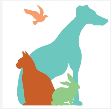 Image of COME Y LADRA Peluquería Canina y Tienda de Animales y Pesca service in Toledo, Toledo, Spain