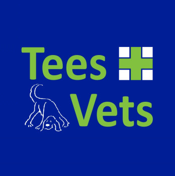 Image of Tees Vets service in Yarm, England, United Kingdom