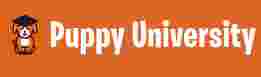 Image of Puppy University - Union City service in Union City, California, United States Image of Puppy University - Union City service in Union City, California, United States