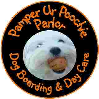 Image of Pamper Ur Poochie Boarding Parlor service in Selden, New York, United States Image of Pamper Ur Poochie Boarding Parlor service in Selden, New York, United States