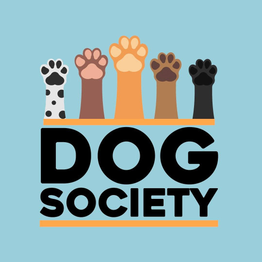 Image of DOG SOCIETY LEON GTO service in León de los Aldama, Guanajuato, Mexico