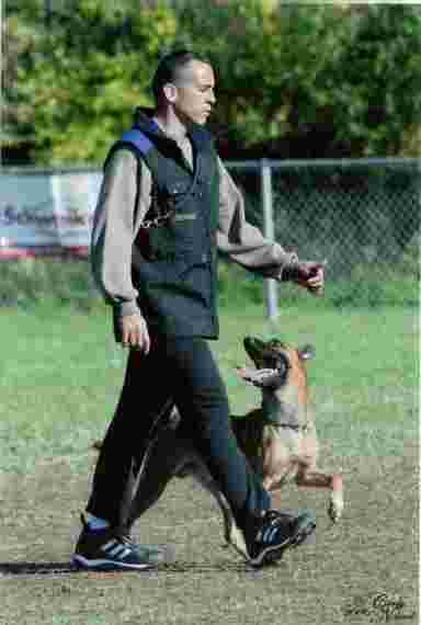 Image of Rosa's K-9 Training service in Jersey City, New Jersey, United States Image of Rosa's K-9 Training service in Jersey City, New Jersey, United States