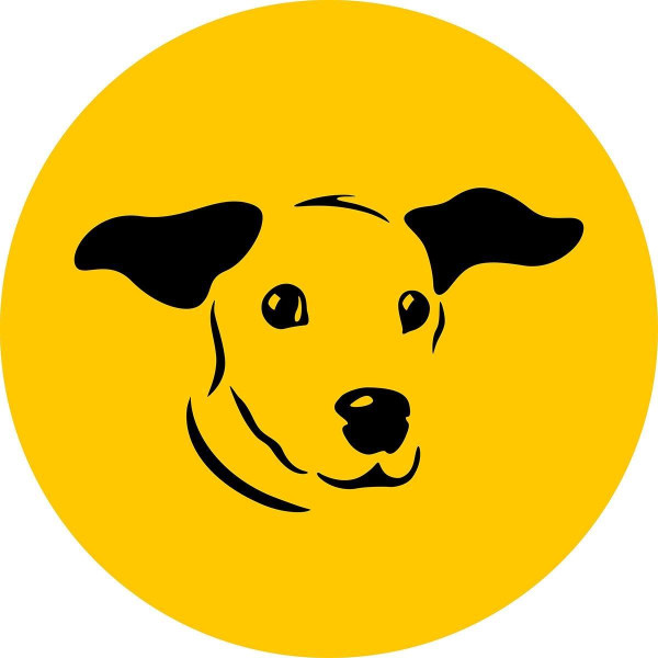 Image of Dogs Trust Dog School Manchester West service in Manchester, England, United Kingdom