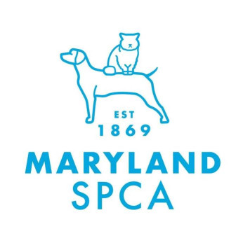 Image of MD SPCA Spay & Neuter Clinic service in Baltimore, Maryland, United States