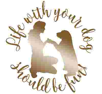 Image of Pet Time Dog Training service in West Babylon, New York, United States