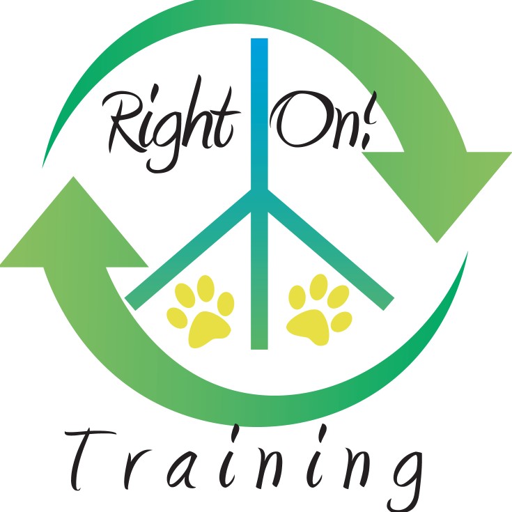 Image of Right On Training service in Virginia Beach, Virginia, United States Image of Right On Training service in Virginia Beach, Virginia, United States