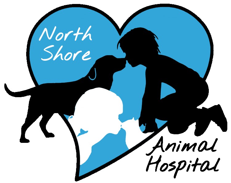 Image of North Shore Animal Hospital service in North Fort Myers, Florida, United States Image of North Shore Animal Hospital service in North Fort Myers, Florida, United States