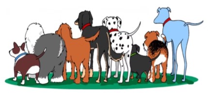 Image of Amazing Tails Dog Daycare & Boarding service in Englewood, Colorado, United States Image of Amazing Tails Dog Daycare & Boarding service in Englewood, Colorado, United States