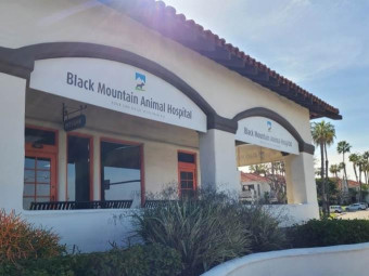 Image of Black Mountain Animal Hospital service in San Diego, California, United States