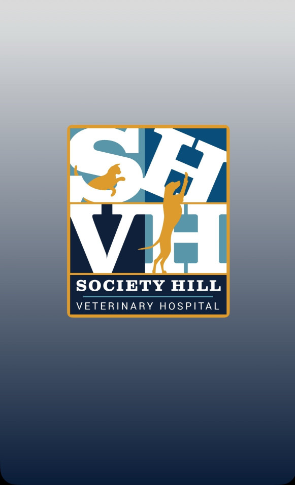 Image of Society Hill Veterinary Hospital service in Philadelphia, Pennsylvania, United States