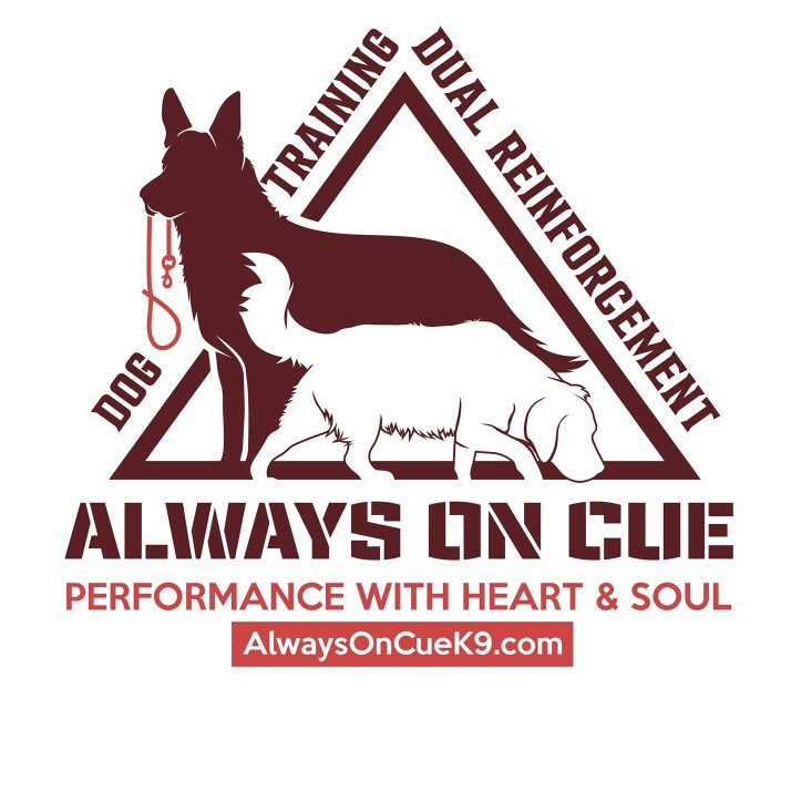 Image of Always on Cue Dog Training service in Gainesville, Florida, United States Image of Always on Cue Dog Training service in Gainesville, Florida, United States
