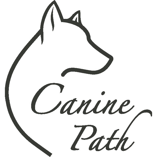 Image of Canine Path Private Dog Training-Manhattan Beach service in Manhattan Beach, California, United States Image of Canine Path Private Dog Training-Manhattan Beach service in Manhattan Beach, California, United States