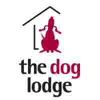 Image of The Dog Lodge - Midvale service in Midvale, Utah, United States