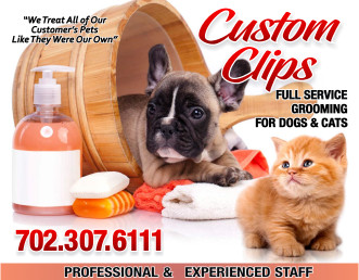 Image of Custom Clips Pet Grooming service in Las Vegas, Nevada, United States