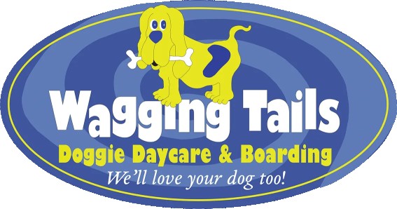 Image of Wagging Tails Doggie Daycare & Boarding service in Atlanta, Georgia, United States