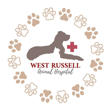 Image of West Russell Animal Hospital service in Las Vegas, Nevada, United States