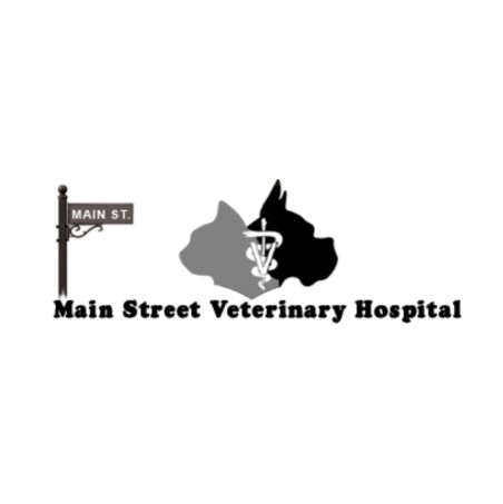 Image of Main Street Veterinary Hospital service in Reisterstown, Maryland, United States