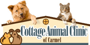 Image of Cottage Animal Clinic of Carmel service in Carmel, California, United States