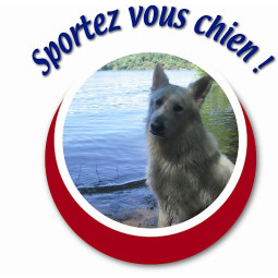 Image of Pension canine et centre d'éducation canine Sportez Vous Chien service in Héric, Pays de la Loire, France