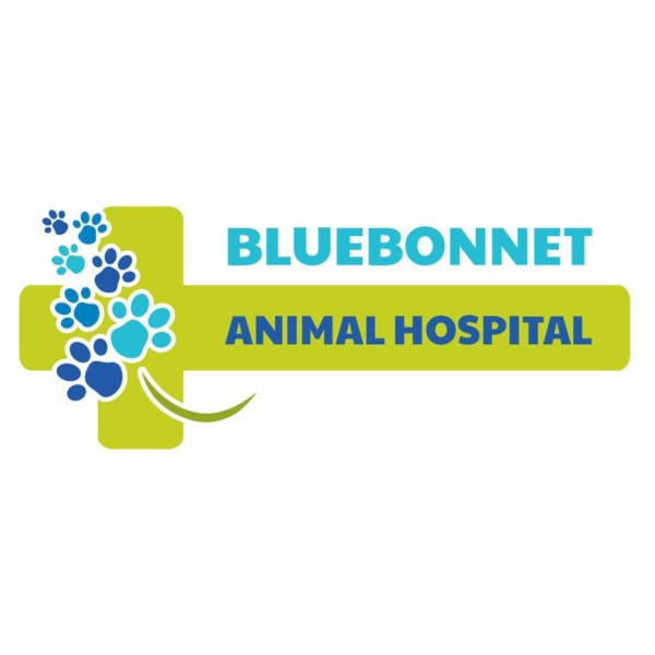 Image of Bluebonnet Riverside Veterinary Clinic service in Austin, Minnesota, United States