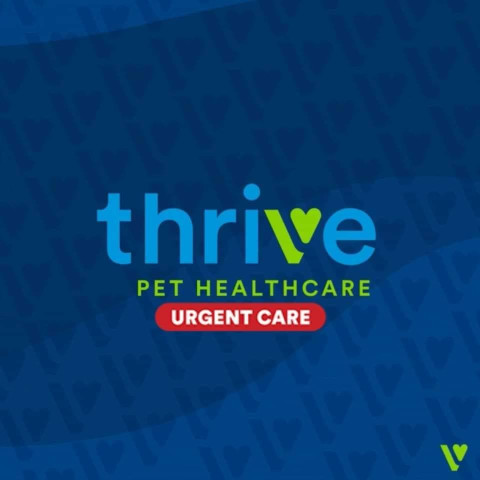 Image of Thrive Pet Healthcare - Catonsville service in Catonsville, Maryland, United States