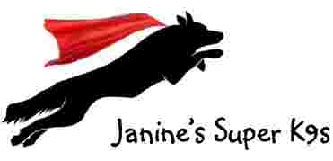 Image of Janine's Super K9s service in Bellingham, Washington, United States Image of Janine's Super K9s service in Bellingham, Washington, United States