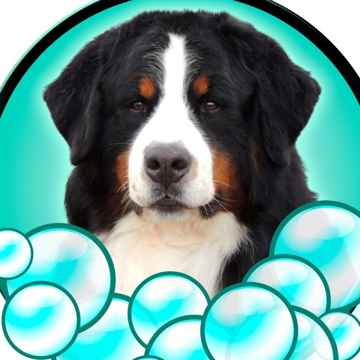 Image of 4 Paws Spa and Training Center service in Forest Hill, Maryland, United States