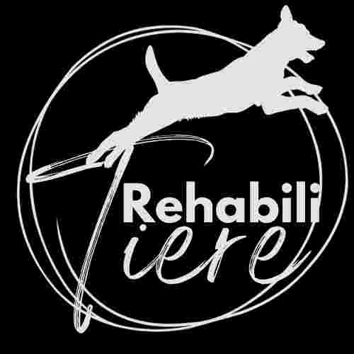 Image of RehabiliTiere - Hundetraining & Maulkorbshop service in Frankfurt am Main, Hessen, Germany