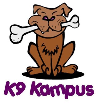 Image of K9 Kampus - Melbourne service in Melbourne, Florida, United States Image of K9 Kampus - Melbourne service in Melbourne, Florida, United States