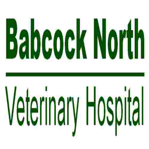 Image of Babcock North Veterinary Hospital service in San Antonio, Texas, United States