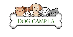 Image of Dog Camp LA service in Los Angeles, California, United States