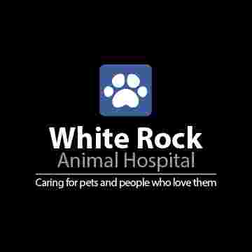 Image of White Rock Animal Hospital service in Dallas, Georgia, United States