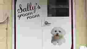 Image of Sally's Groom Room service in McKees Rocks, Pennsylvania, United States