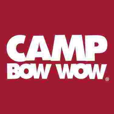 Image of Camp Bow Wow - Bridgeport service in Bridgeport, Connecticut, United States