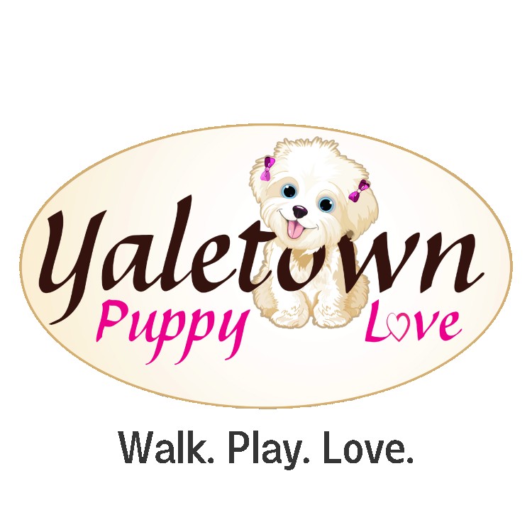 Image of Yaletown Puppy Love service in Metro Vancouver, British Columbia, Canada Image of Yaletown Puppy Love service in Metro Vancouver, British Columbia, Canada