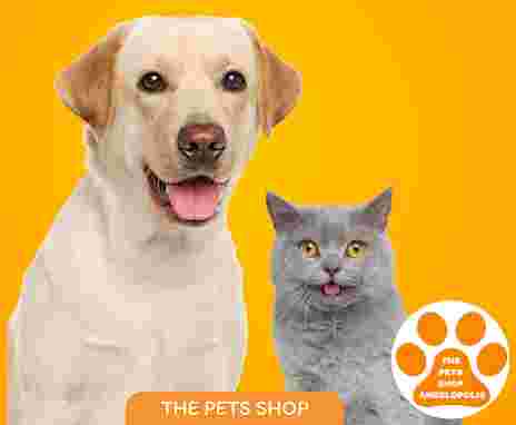Image of The Pets Shop Angelopolis service in San Bernardino Tlaxcalancingo, Puebla, Mexico
