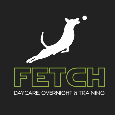 Image of FETCH Daycare and Overnight service in Salt Lake City, Utah, United States