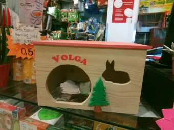 Image of Vallis Pet service in Valongo, Norte, Portugal