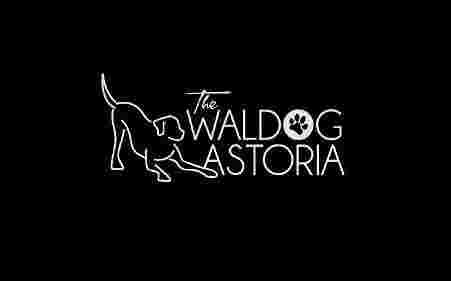 Image of The Waldog Astoria INC service in Jupiter, Florida, United States Image of The Waldog Astoria INC service in Jupiter, Florida, United States