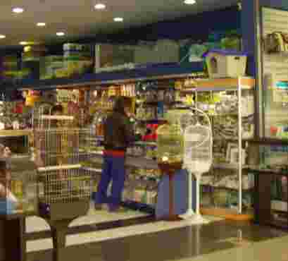 Image of HobbyZoo - Granada service in Granada, Granada, Spain