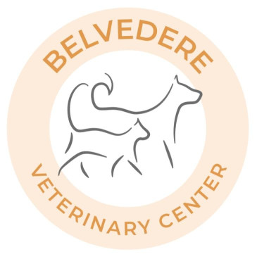 Image of Belvedere Veterinary Center service in Baltimore, Maryland, United States