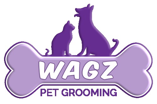 Image of Wagz Dog Grooming service in Belfast, Northern Ireland, United Kingdom Image of Wagz Dog Grooming service in Belfast, Northern Ireland, United Kingdom