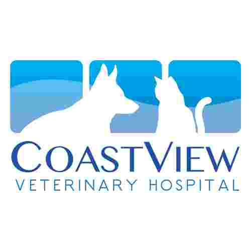 Image of CoastView Veterinary Hospital service in San Diego, California, United States