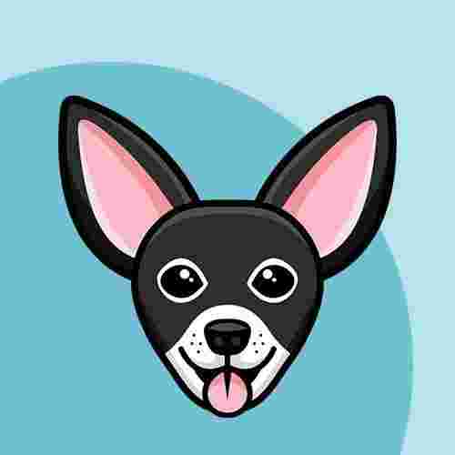 Image of Gizmo's Dog Daycare service in Wappingers Falls, New York, United States