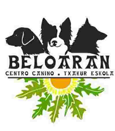 Image of BeloAran Centro Canino service in Mutilva Baja, Navarra, Spain