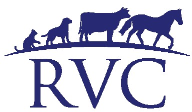 Image of Rangiora Vet Centre service in Christchurch, Canterbury, New Zealand